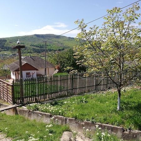 Pensiunea Turistica "Casa Rustica" Villa Chiscareni Eksteriør bilde