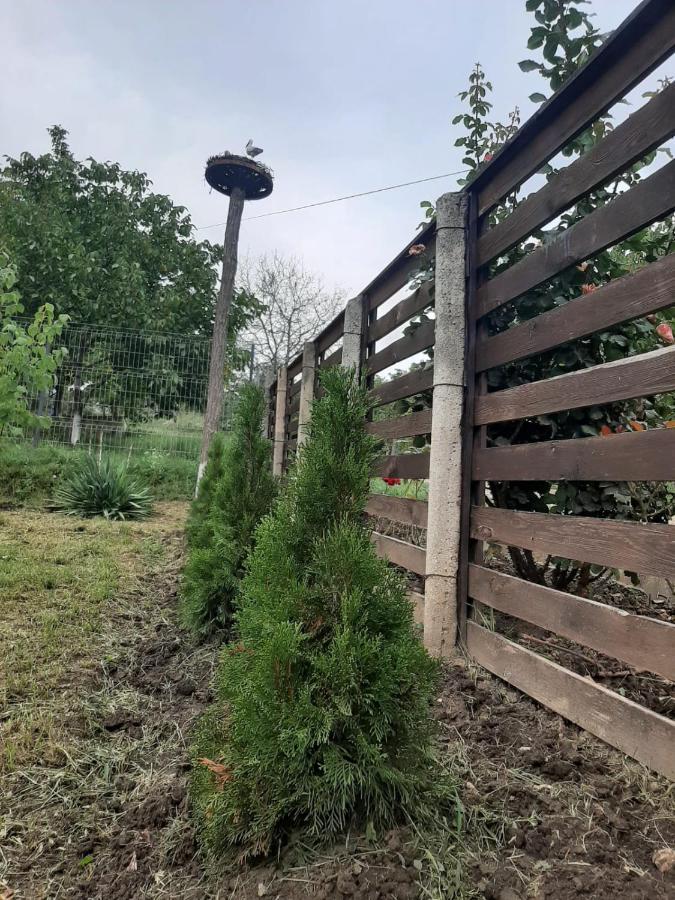 Pensiunea Turistica "Casa Rustica" Villa Chiscareni Eksteriør bilde