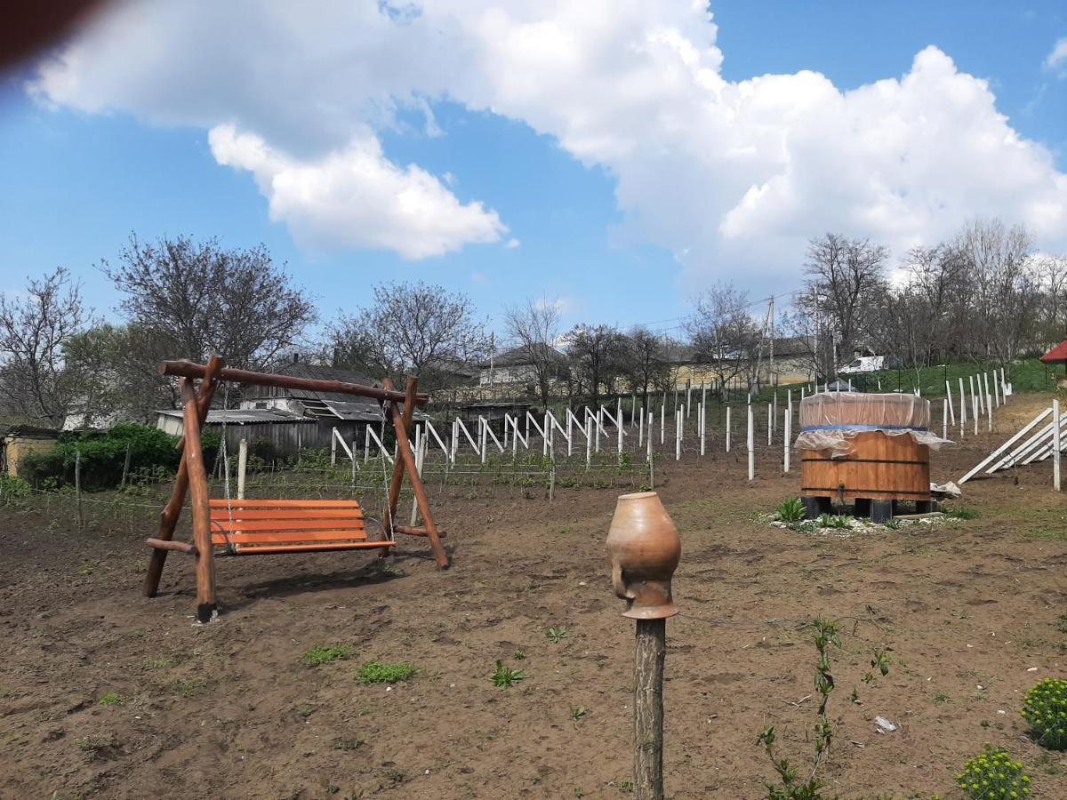 Pensiunea Turistica "Casa Rustica" Villa Chiscareni Eksteriør bilde
