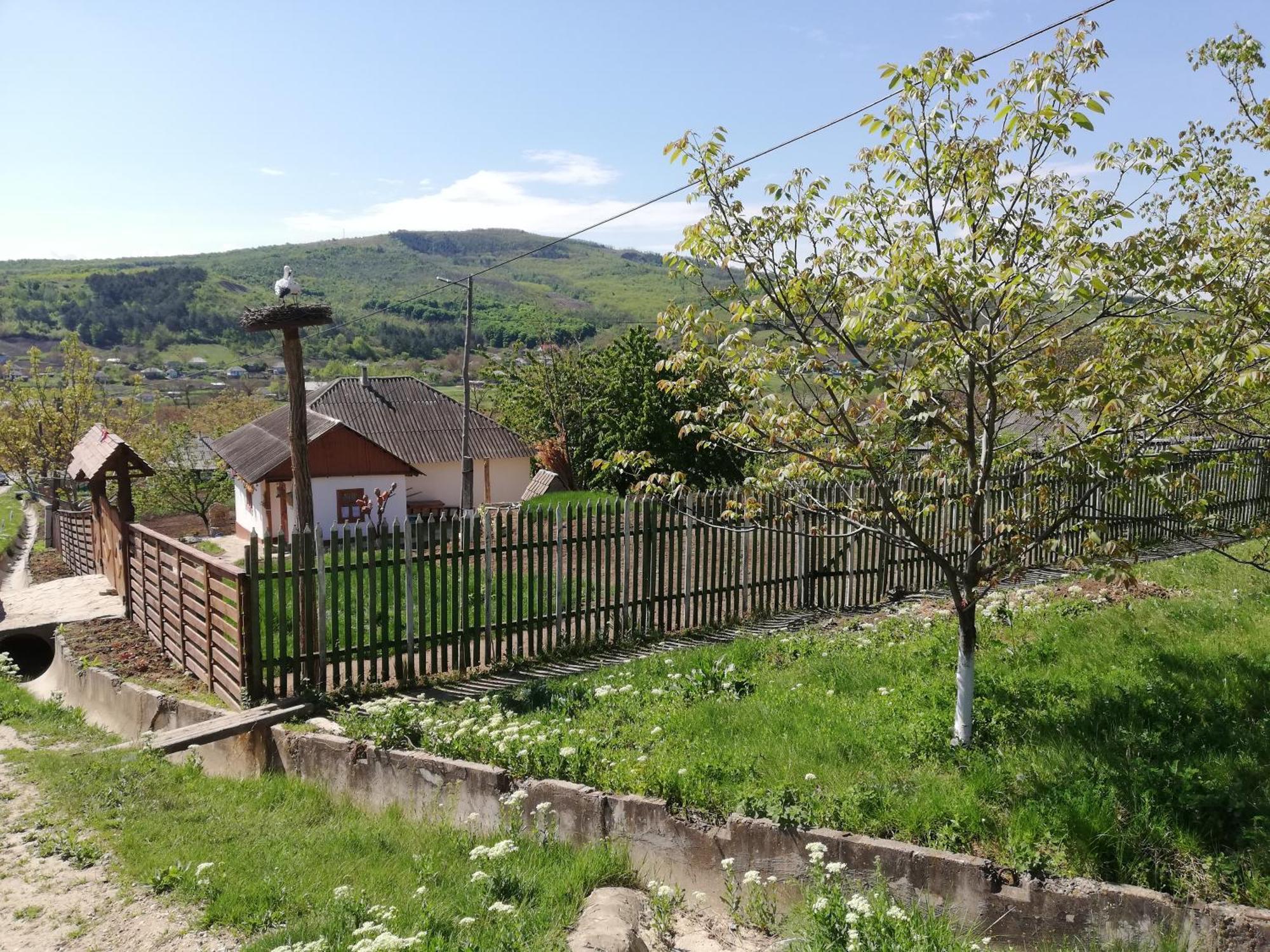 Pensiunea Turistica "Casa Rustica" Villa Chiscareni Eksteriør bilde