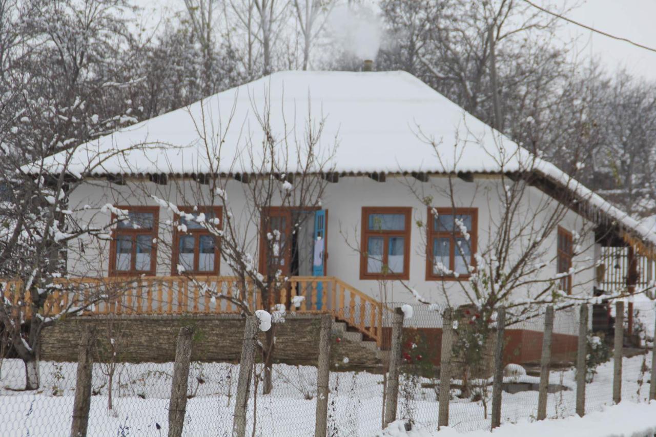 Pensiunea Turistica "Casa Rustica" Villa Chiscareni Eksteriør bilde