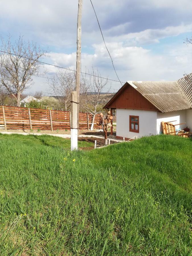 Pensiunea Turistica "Casa Rustica" Villa Chiscareni Eksteriør bilde