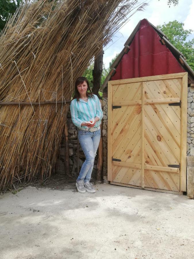 Pensiunea Turistica "Casa Rustica" Villa Chiscareni Eksteriør bilde