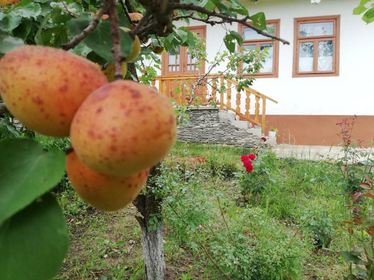 Pensiunea Turistica "Casa Rustica" Villa Chiscareni Eksteriør bilde
