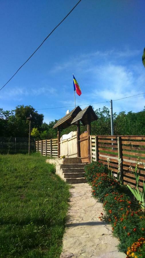 Pensiunea Turistica "Casa Rustica" Villa Chiscareni Eksteriør bilde