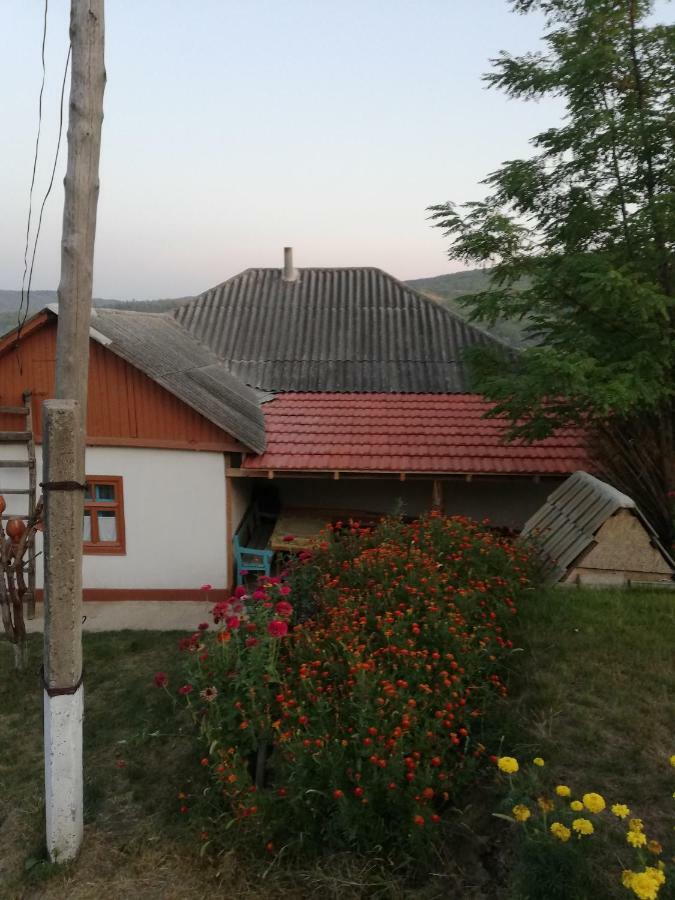 Pensiunea Turistica "Casa Rustica" Villa Chiscareni Eksteriør bilde