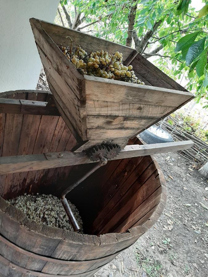 Pensiunea Turistica "Casa Rustica" Villa Chiscareni Eksteriør bilde